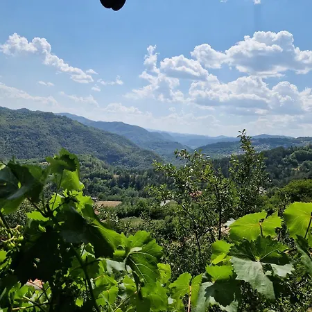 캠프장 леска *