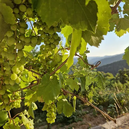 леска 캠프장 Leska