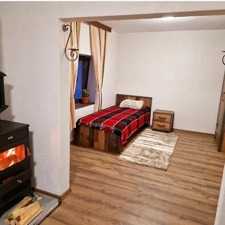 캠프장 леска