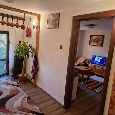 Kemping леска Leska