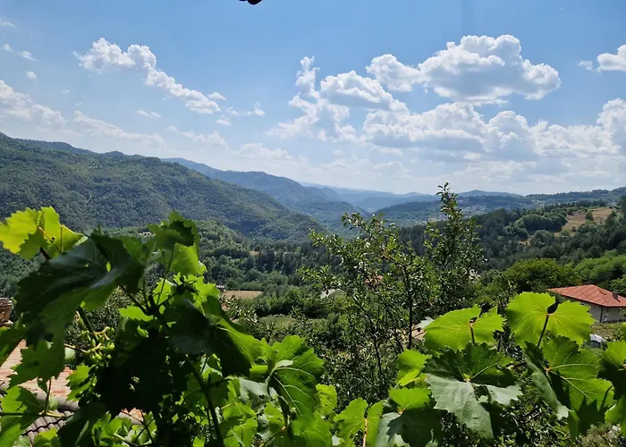 Campingplads леска *